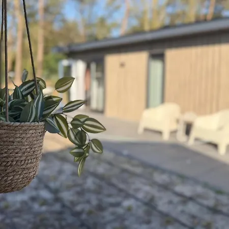 Pet Friendly In With Wifi Dom wakacyjny Meijel