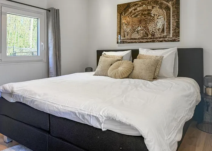 Pet Friendly In With Wifi